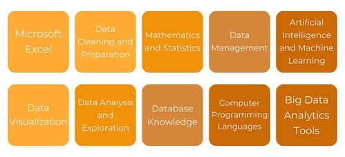 解鎖數據價值 掌握數據處理技術，夯實有效數據分析的基石
